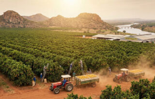 Investing in Agriculture